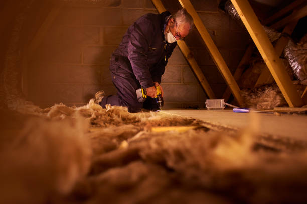 Insulation Inspection Services in Rock Falls, IL